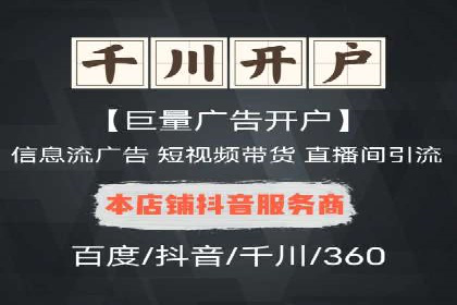 顶级SEM运营公司案例分析
